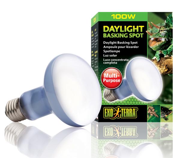 Exo Terra® Daylight Basking Spot