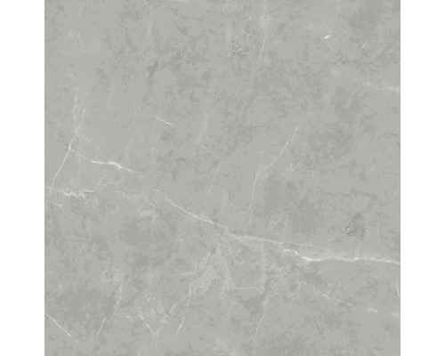 Steengoed wand- en vloertegel Davos grijs 60 x 60 x 0,9 cm glanzend