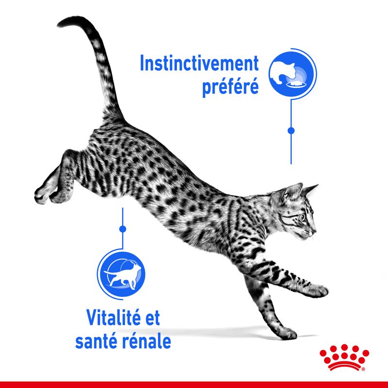Royal Canin Indoor Sterilised 7+ en sauce