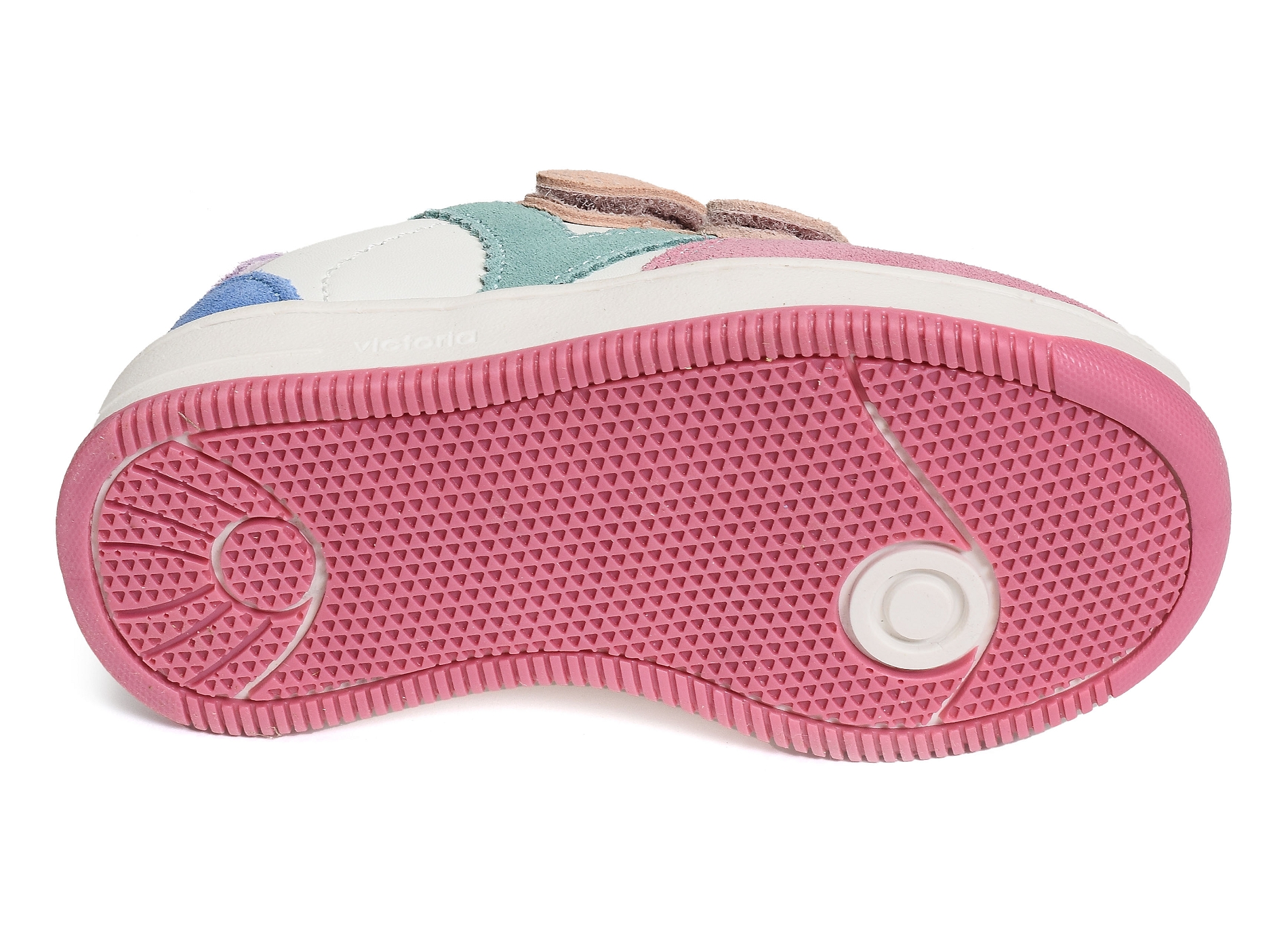 1124116 rose multicolore