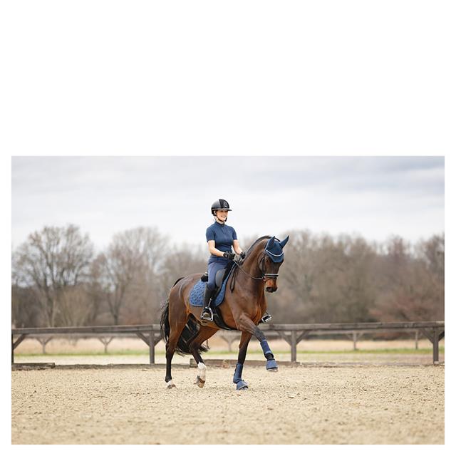Paardrijlegging ANKY 3C Full Grip Donkerblauw