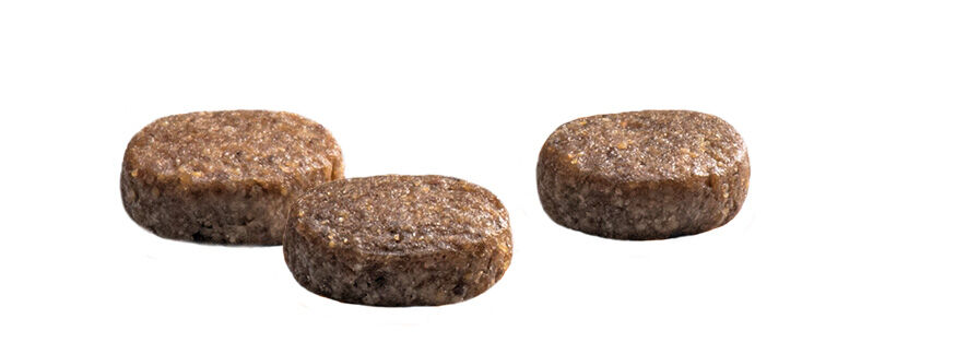 Prins Protection Croque Junior Performance - Hondenvoer - 2 Kilogram - kip