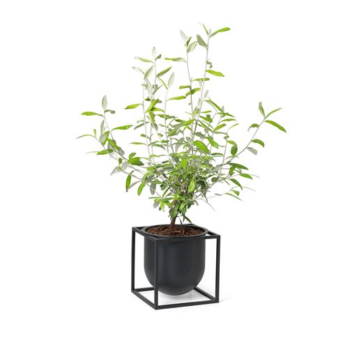 Audo Kubus Flowerpot 14, Sort