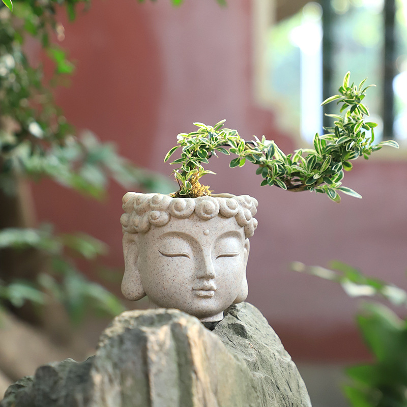 (10x9cm) Mini Blumentopf Pflanzen Vase Home Deko Übertopf - Buddha Kopf