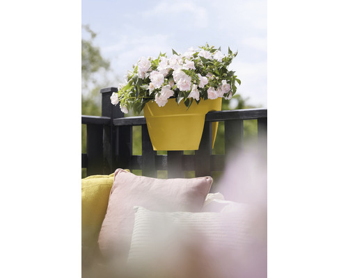Flower Bridge bloembak elho Vibia Campana 40 kunststof 40 x 26 x 22 cm honinggeel