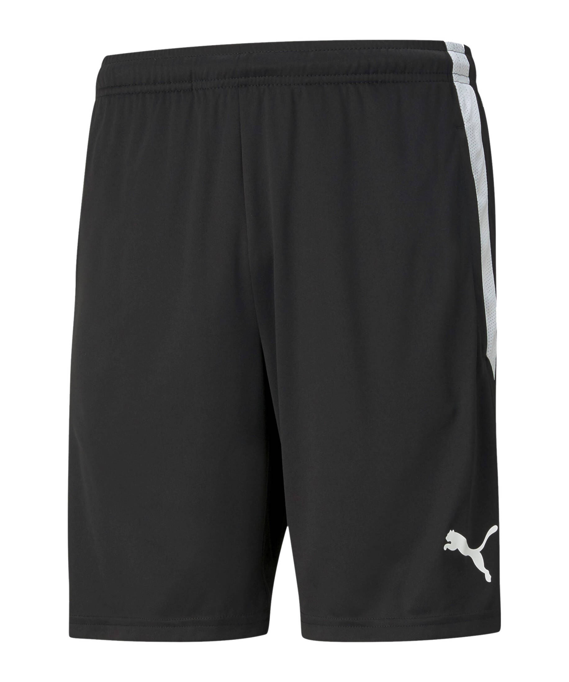 Puma| Herren Shorts