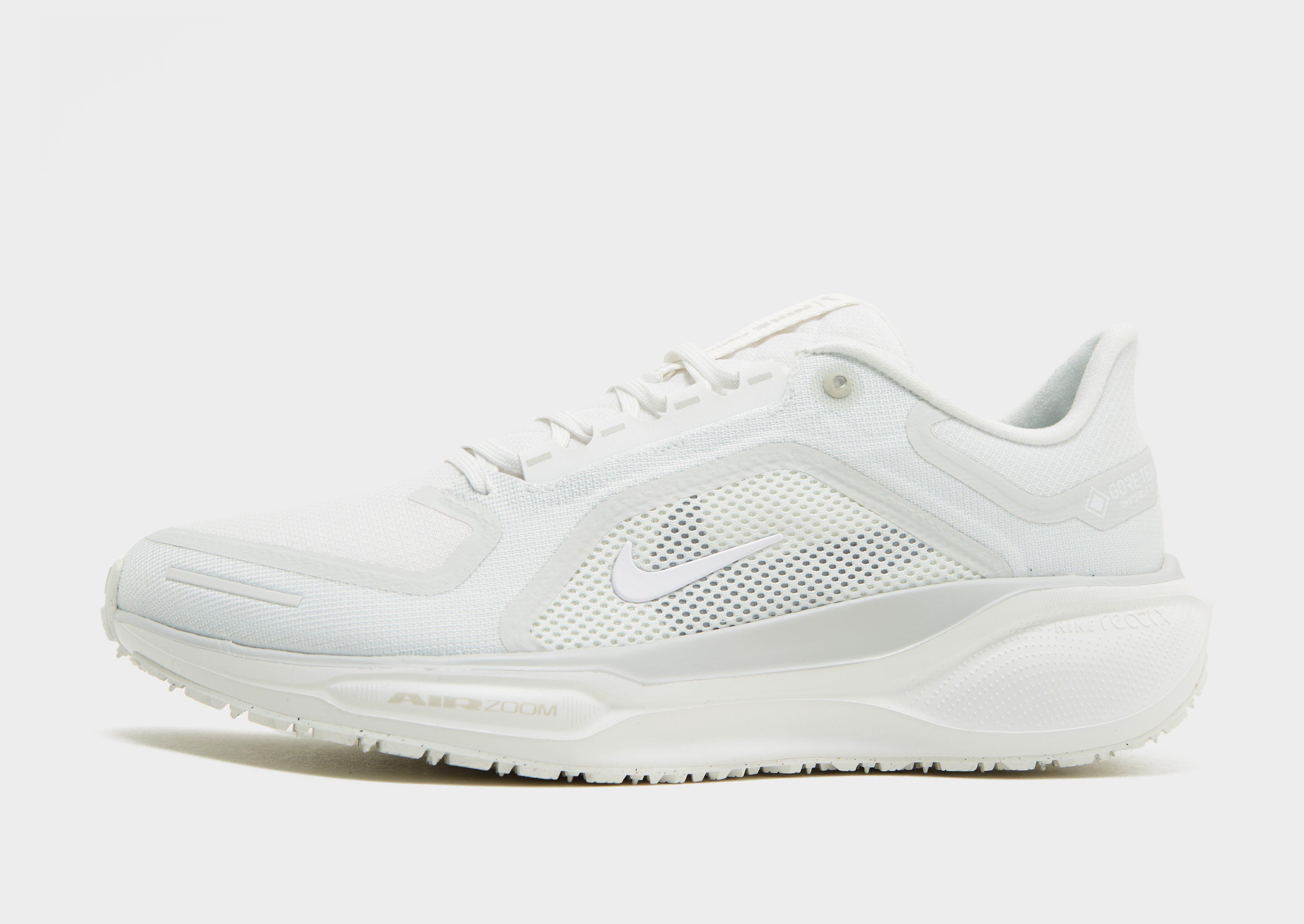 Nike Pegasus 41 GORE-TEX Homme