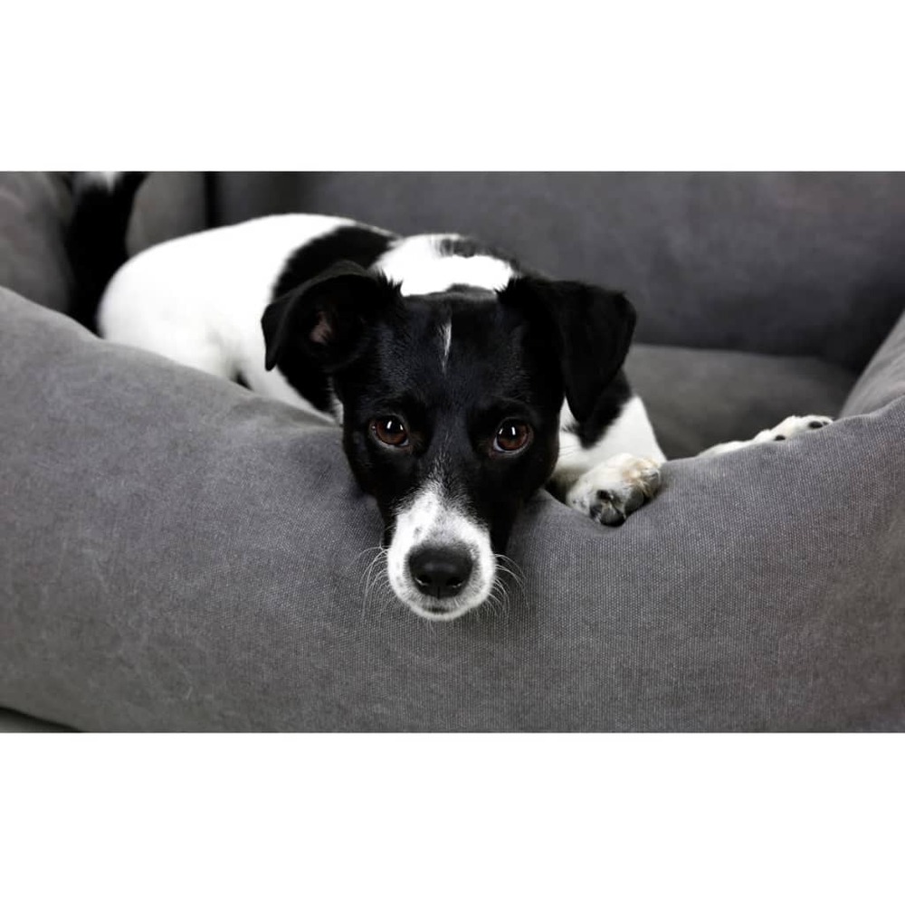 Lit pour chiens lucca 70 x 60 cm gris 80346