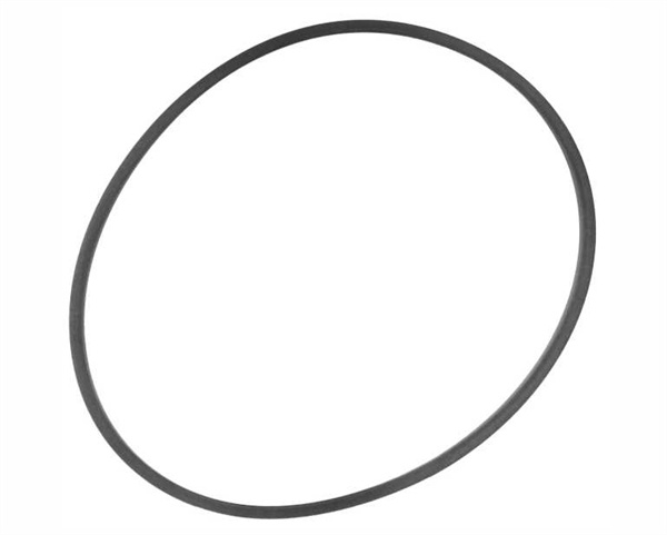 O-Ring Voor Skimfilter
