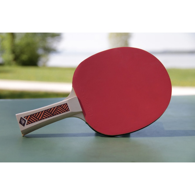 Champs Line Level 300 Tischtennisschläger - Donic-Schildkröt