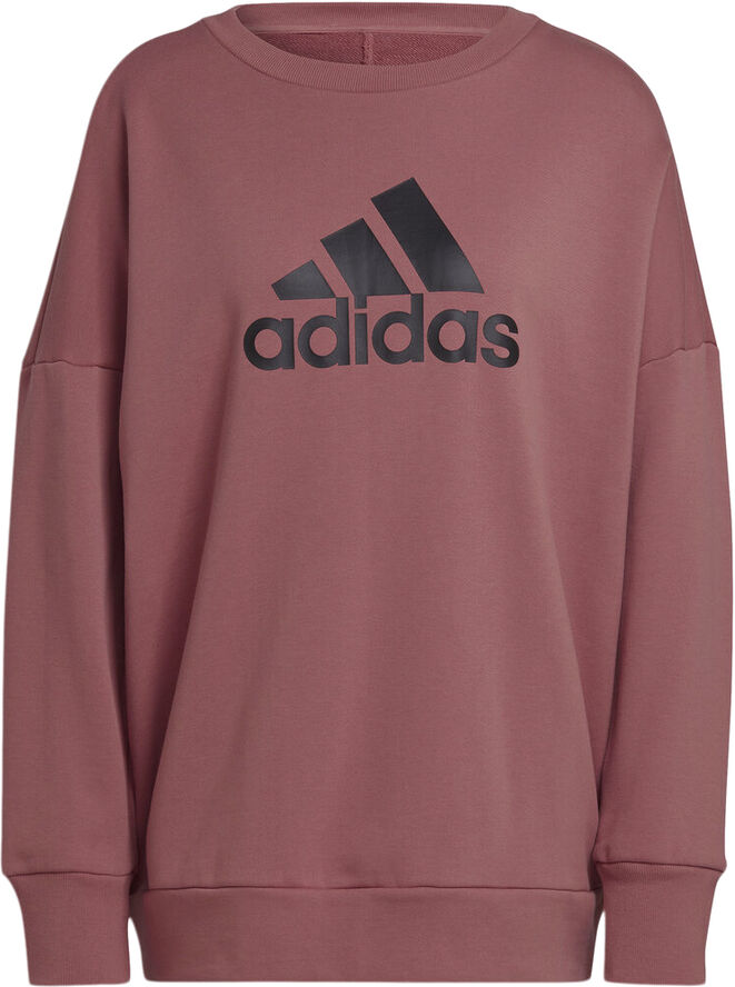 adidas Future Icons Badge of Sport sweatshirt Rød