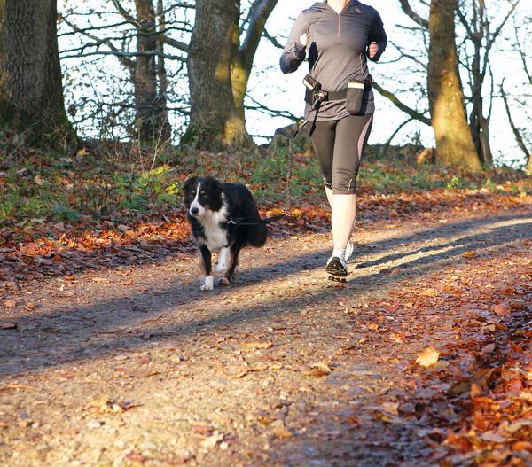 Trixie Dog Activity Bauchgurt-Hundeleine