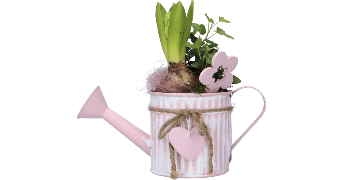 Gießkanne Arrangement Blume Ø12 cm