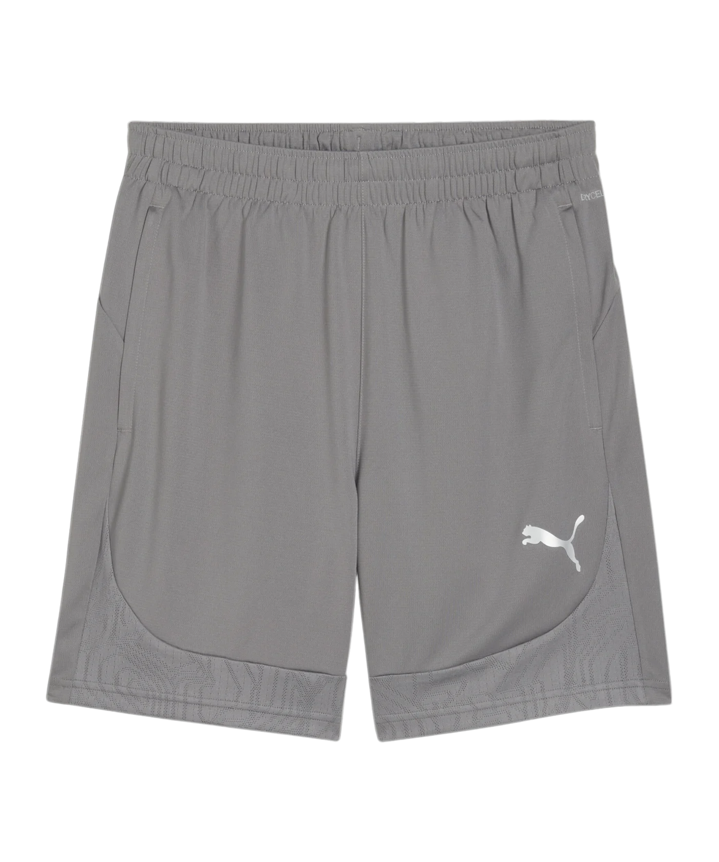 PUMA teamFINAL Trainingsshorts Grau F13
