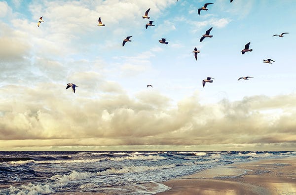 Kurzurlaub am Meer Usedom