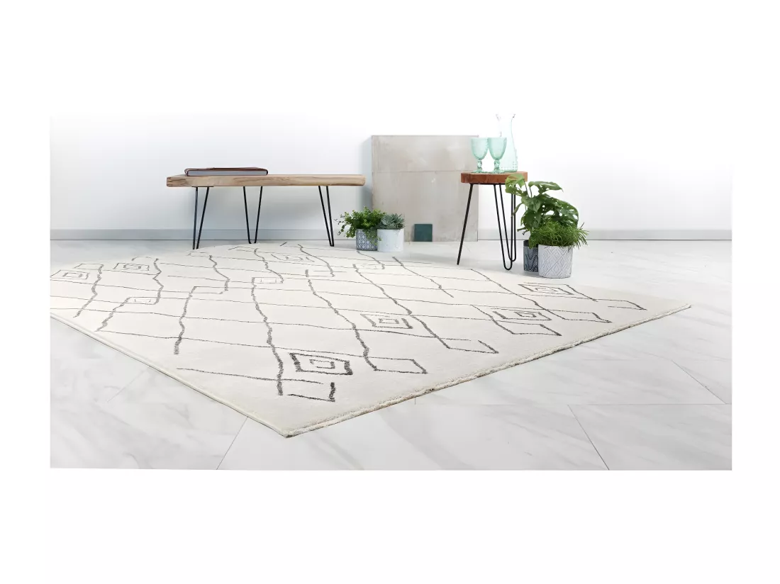 Tapis 150x80cm, design A205R coloris ivoire - Confort et élégance pour votre intérieur