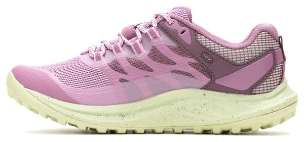 Chaussures de Randonnée Femme Merrell Antora 3 Gore-Tex Violet