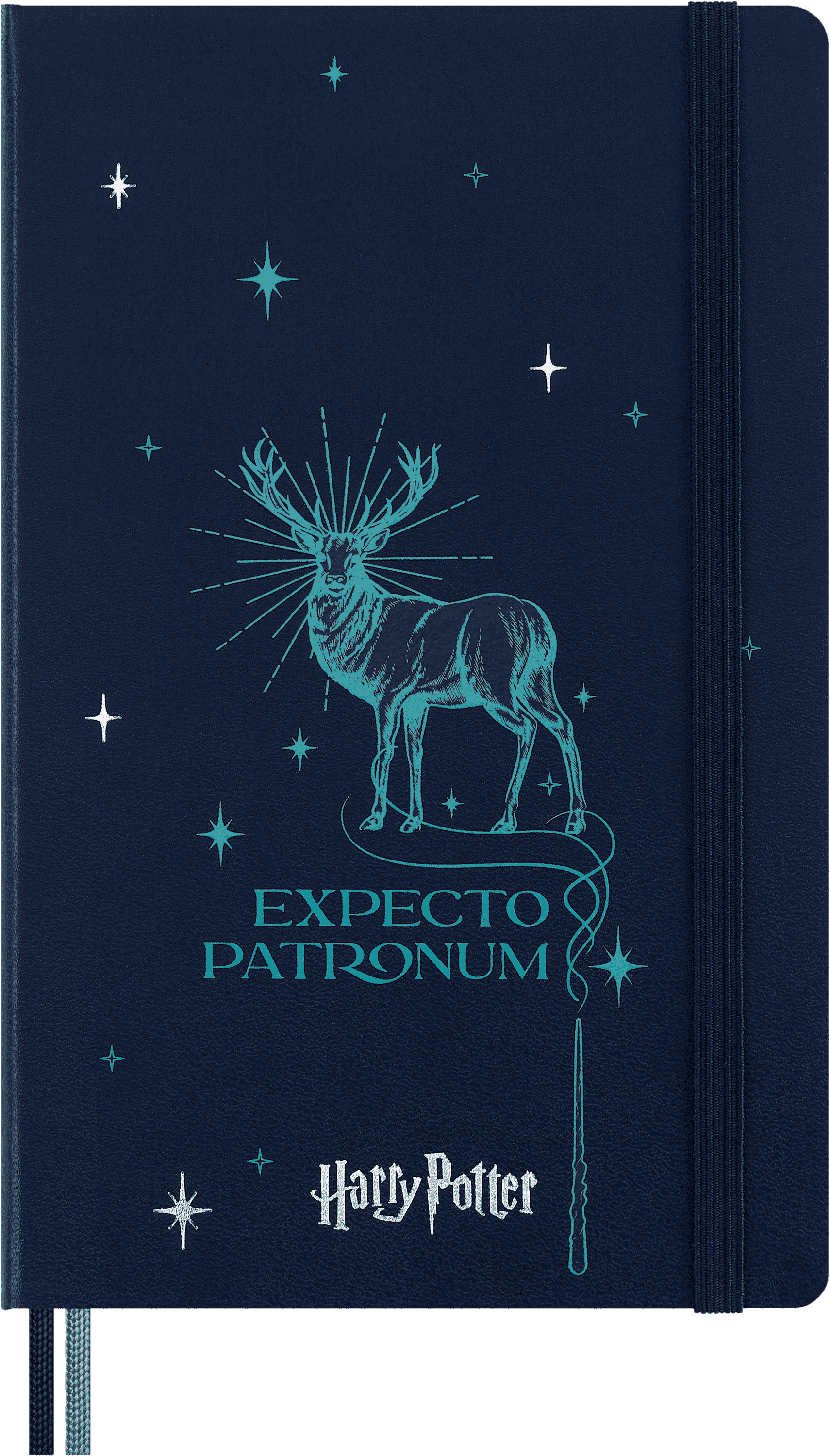 Wizarding World Harry Potter Limited Edition Notebook Large, ruled, hard cover