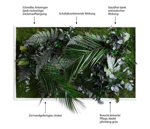 styleGREEN Bild im Dschungeldesign,