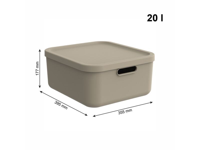 Rotho Babydesign Spielzeugbox KAYO M Cappuccino Multi Box für ein schönes Ambiente im Kinderzimmer