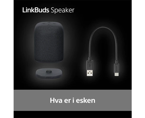 Sony Linkbuds Speaker - Black