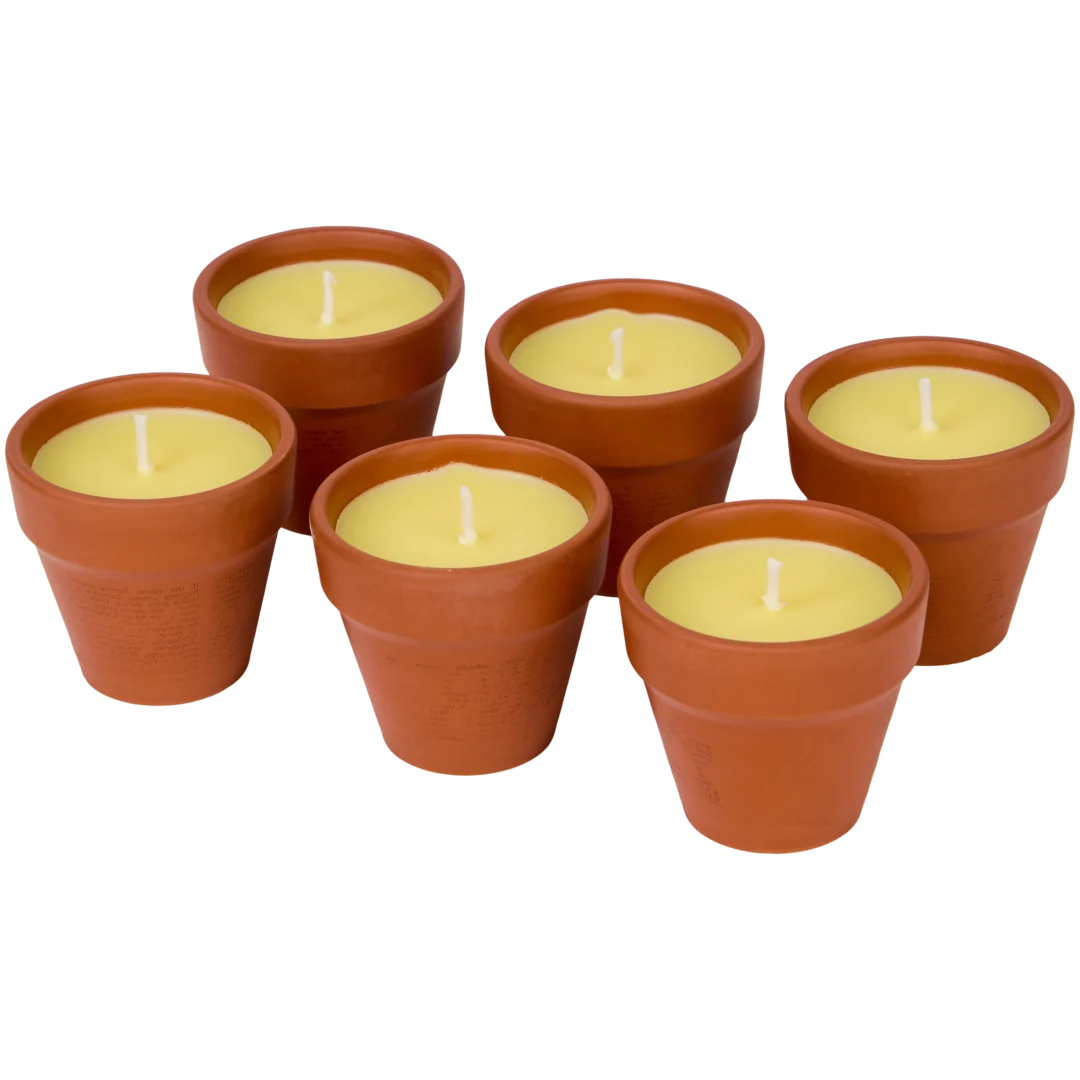 Bougies à la citronnelle