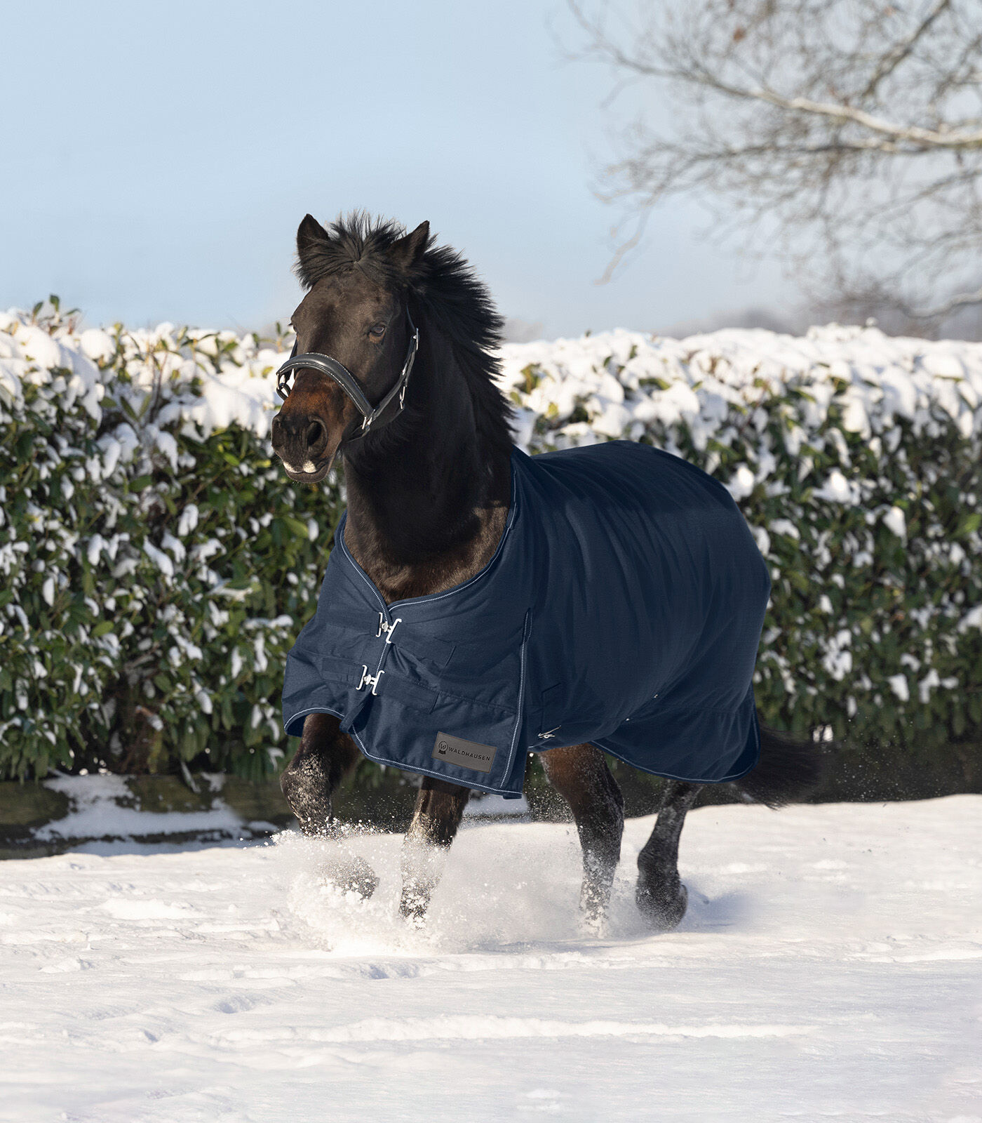 Waldhausen Nordic 300 gr - Winterdeken - Paardendeken - Blauw - 115/165