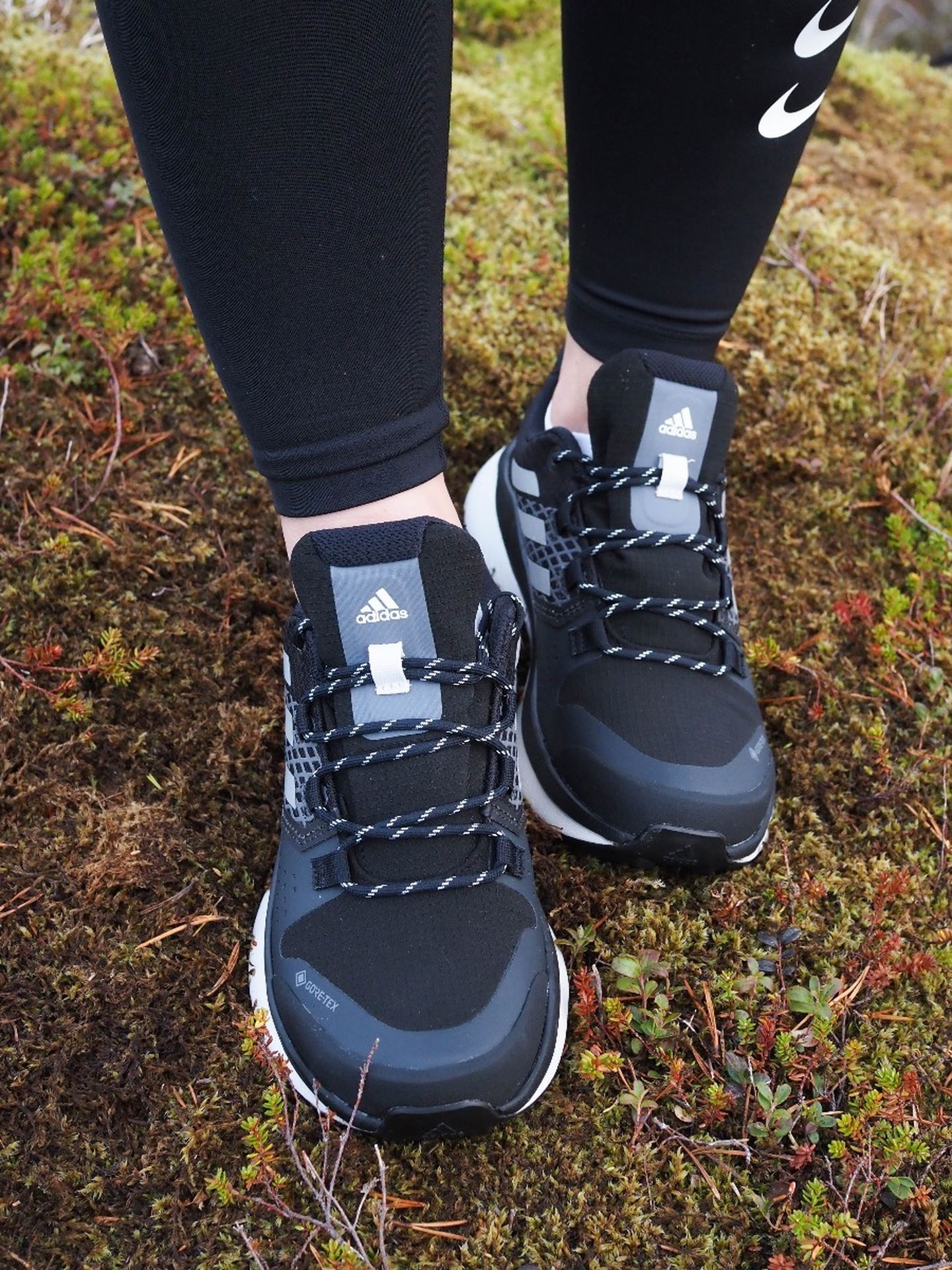 Terrex GoreTex Folgian Hike