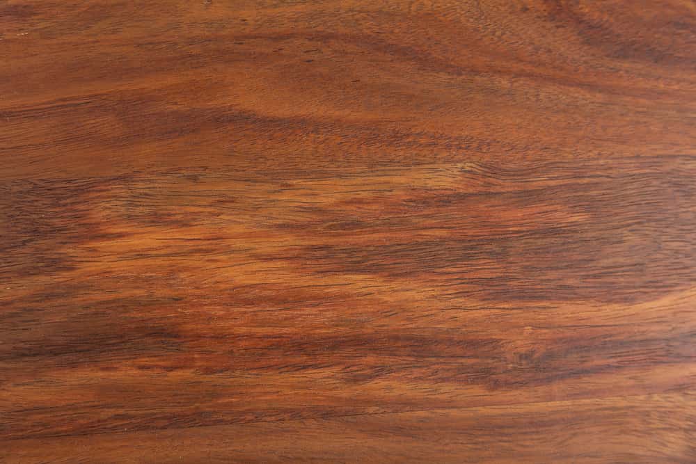 Massives Wandregal MAMMUT 80cm braun Sheesham stone finish Regalbrett mit Baumkante