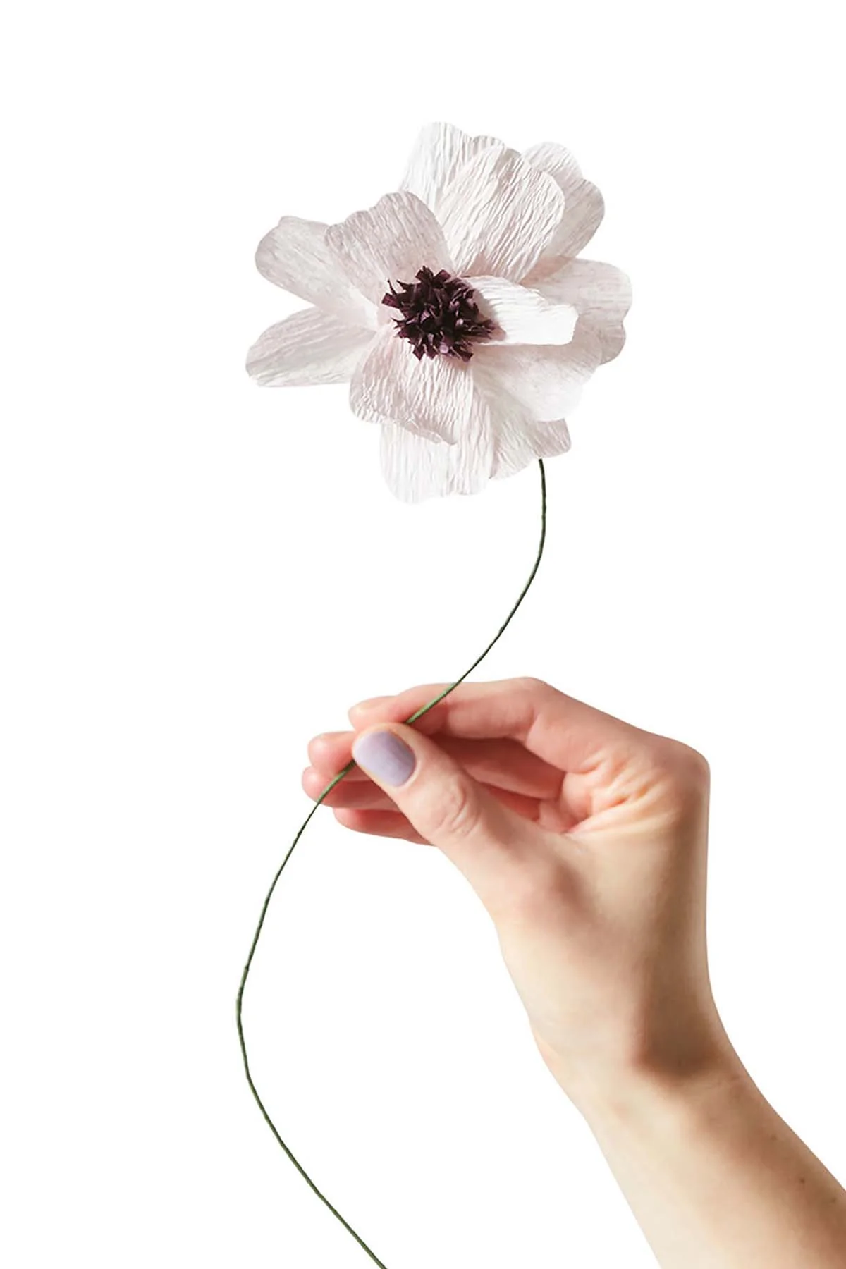 Studio About  Daisy Papirblomst - Lilla