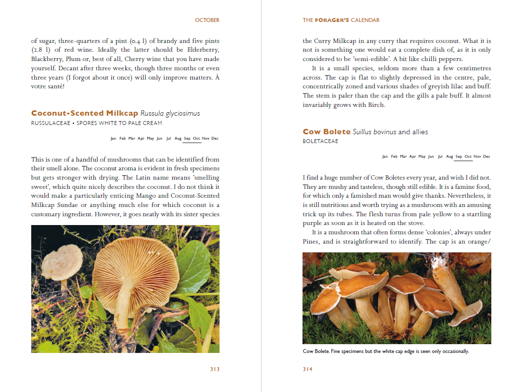 The Forager's Calendar: A Seasonal Guide to Nature's Wild Harvests (Paperback)