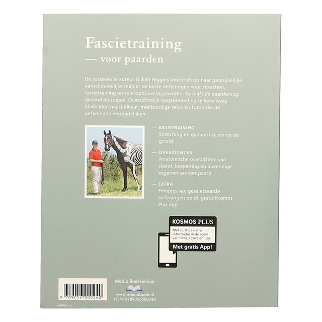 Pilates En Stretching Voor Paarden