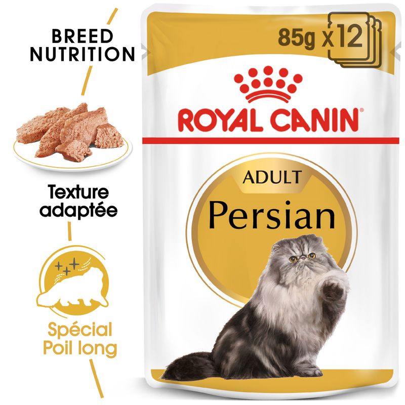 Royal Canin Persan Adult en mousse