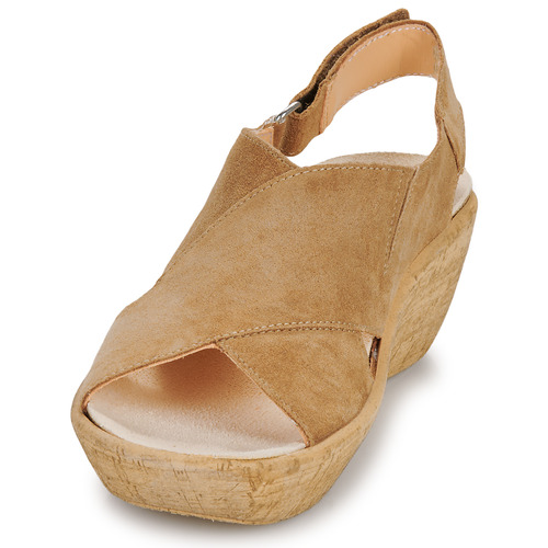 Think - KATE - Camel