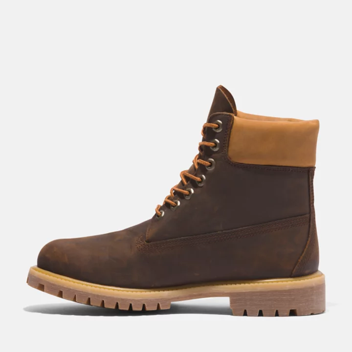 Bota Timberland Premium de 6 polegadas para homem em castanho/amarelo