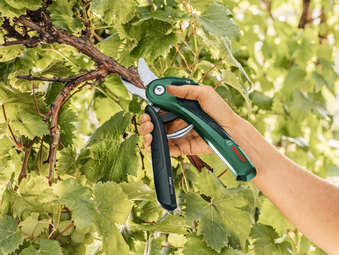Bosch EasyPrune beskæresaks 3,6 V