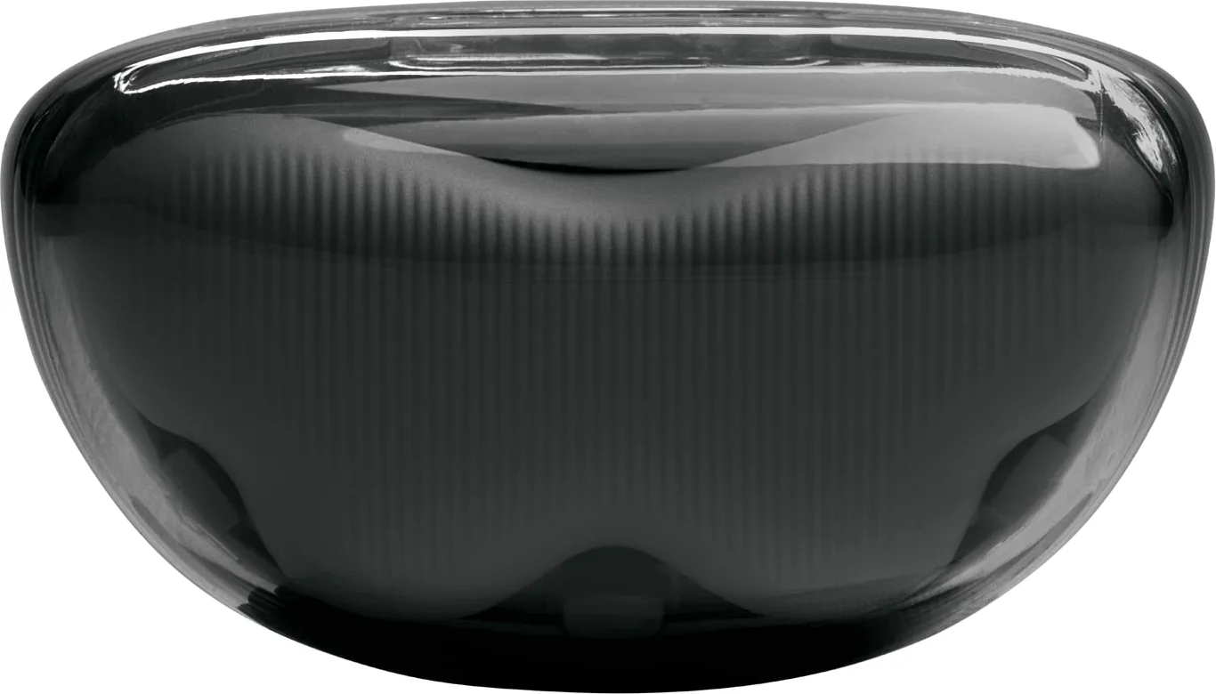 JBL Tune Flex 2 Noir (Ghost Edition) Écouteurs True Wireless