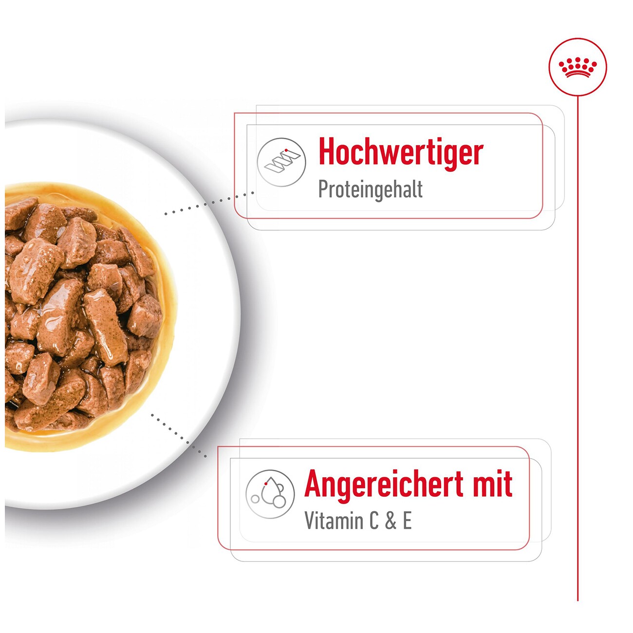 ROYAL CANIN Medium Adult in Soße 10x140 g