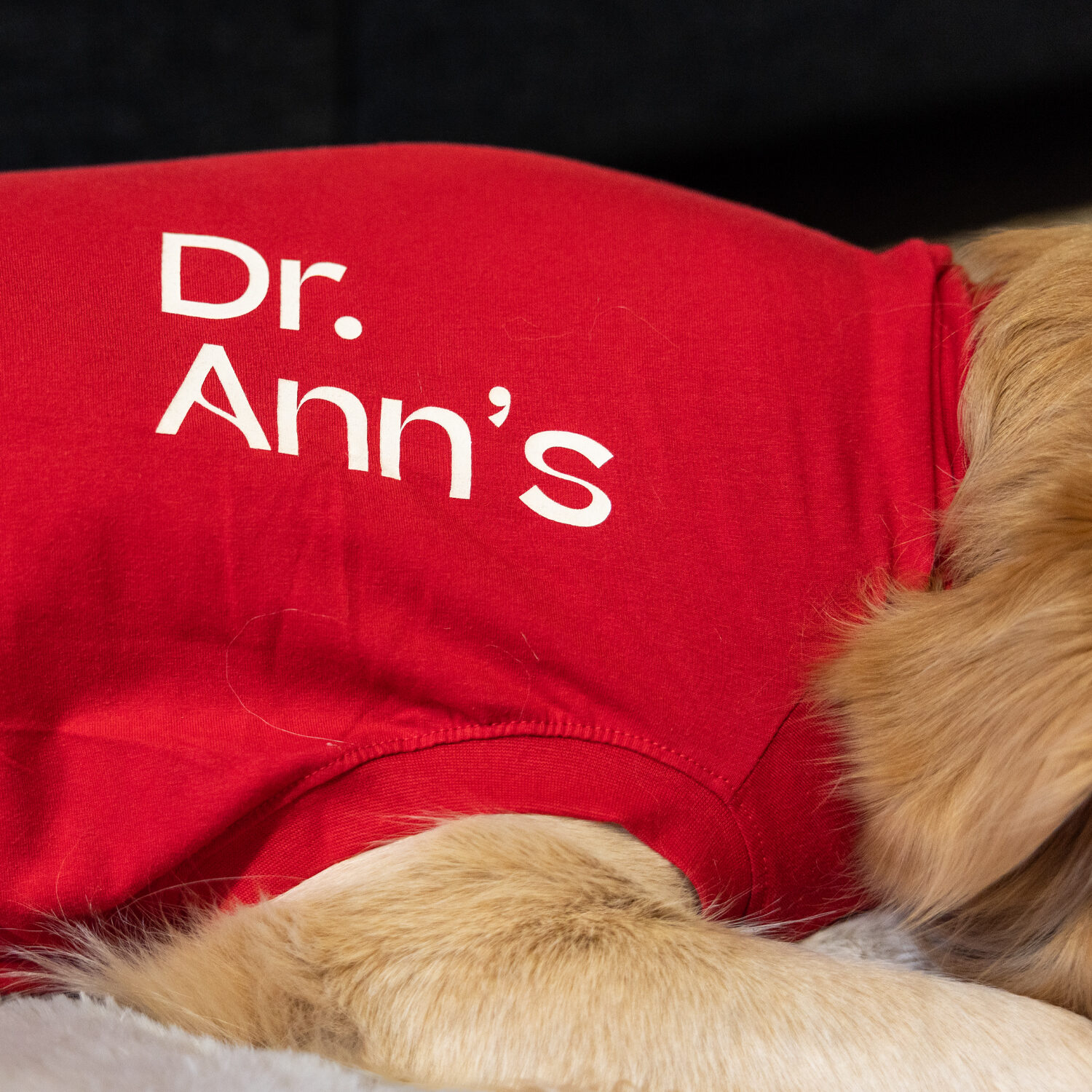 Dr. Ann's Protective Shirt Hond