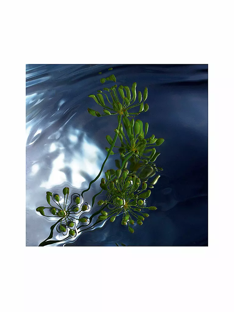 DAVIDOFF Cool Water Reborn Man Eau de Toilette 125ml keine Farbe