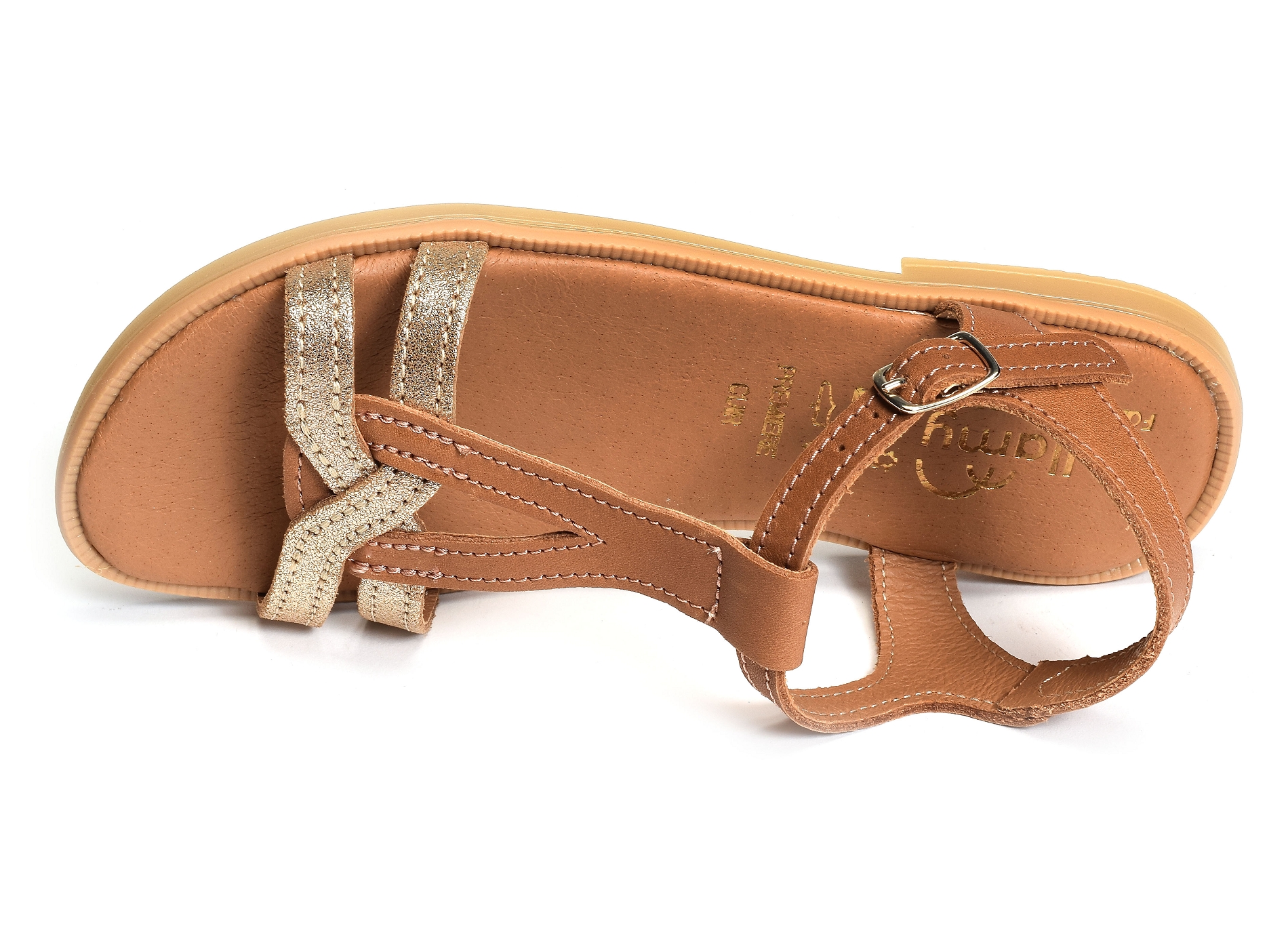 Jilou camel