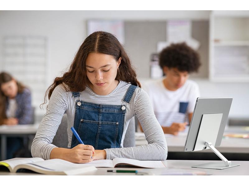 DURABLE Halterung Rise Tabletständer 13 