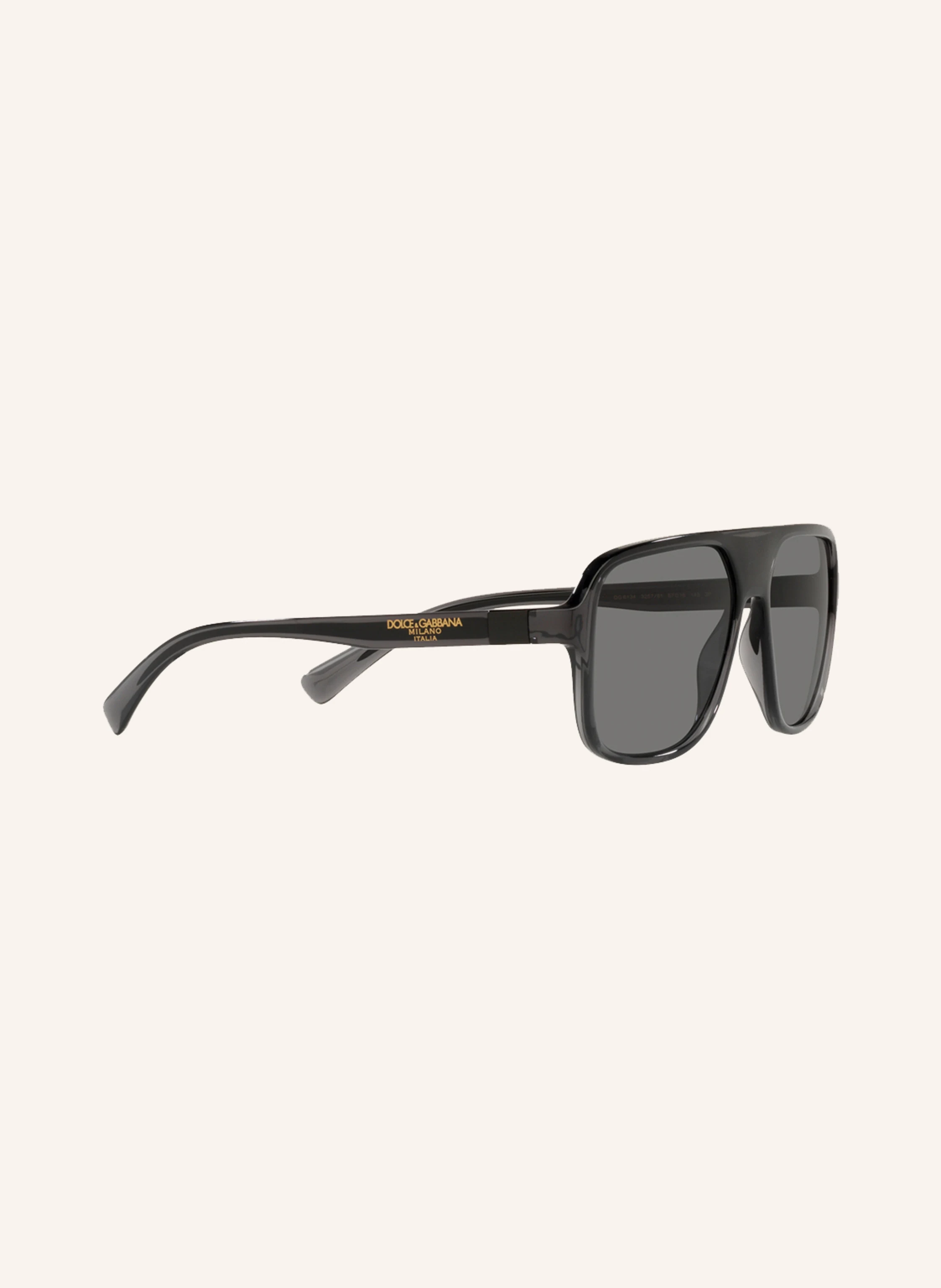DOLCE & GABBANA Sonnenbrille DG 6134