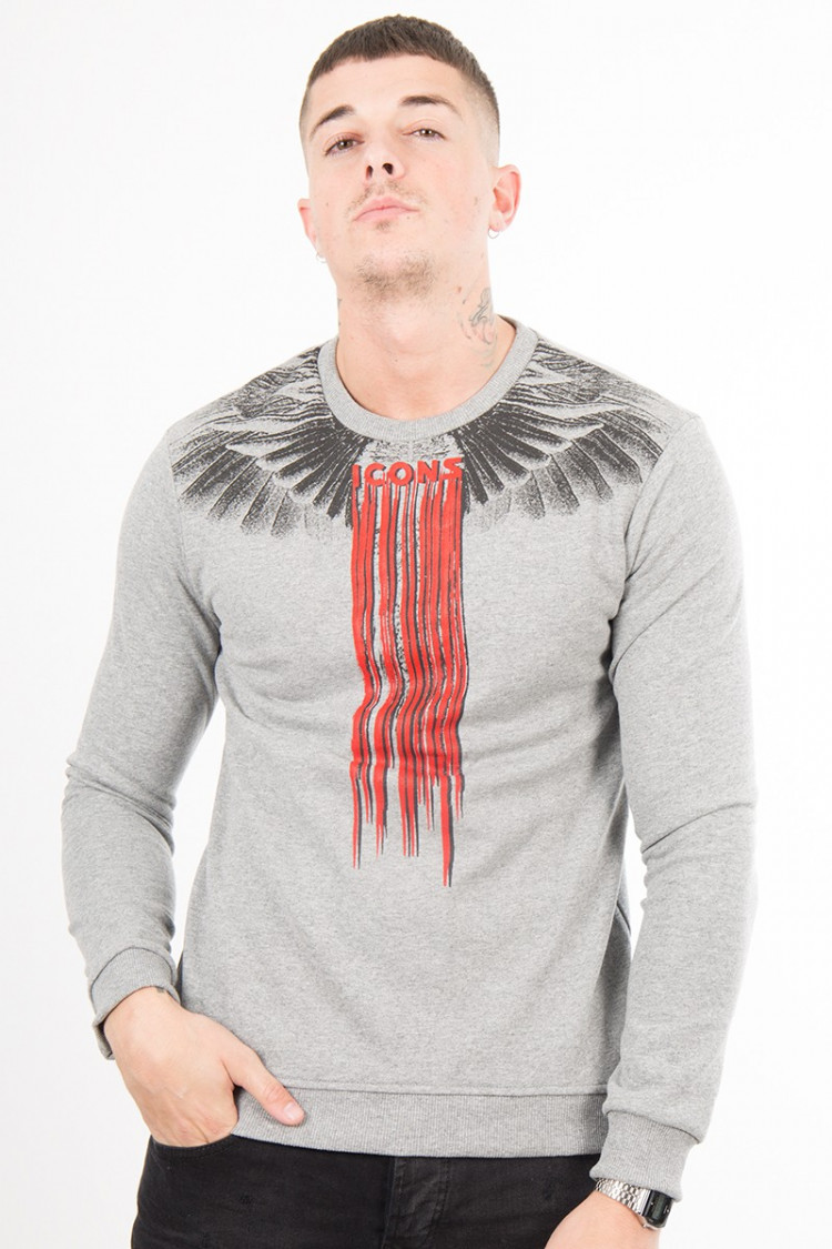 Pull Icons ailes gris chiné