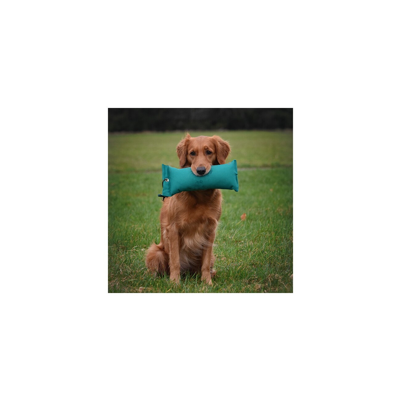 ROMNEYS Dummy 1,3 kg