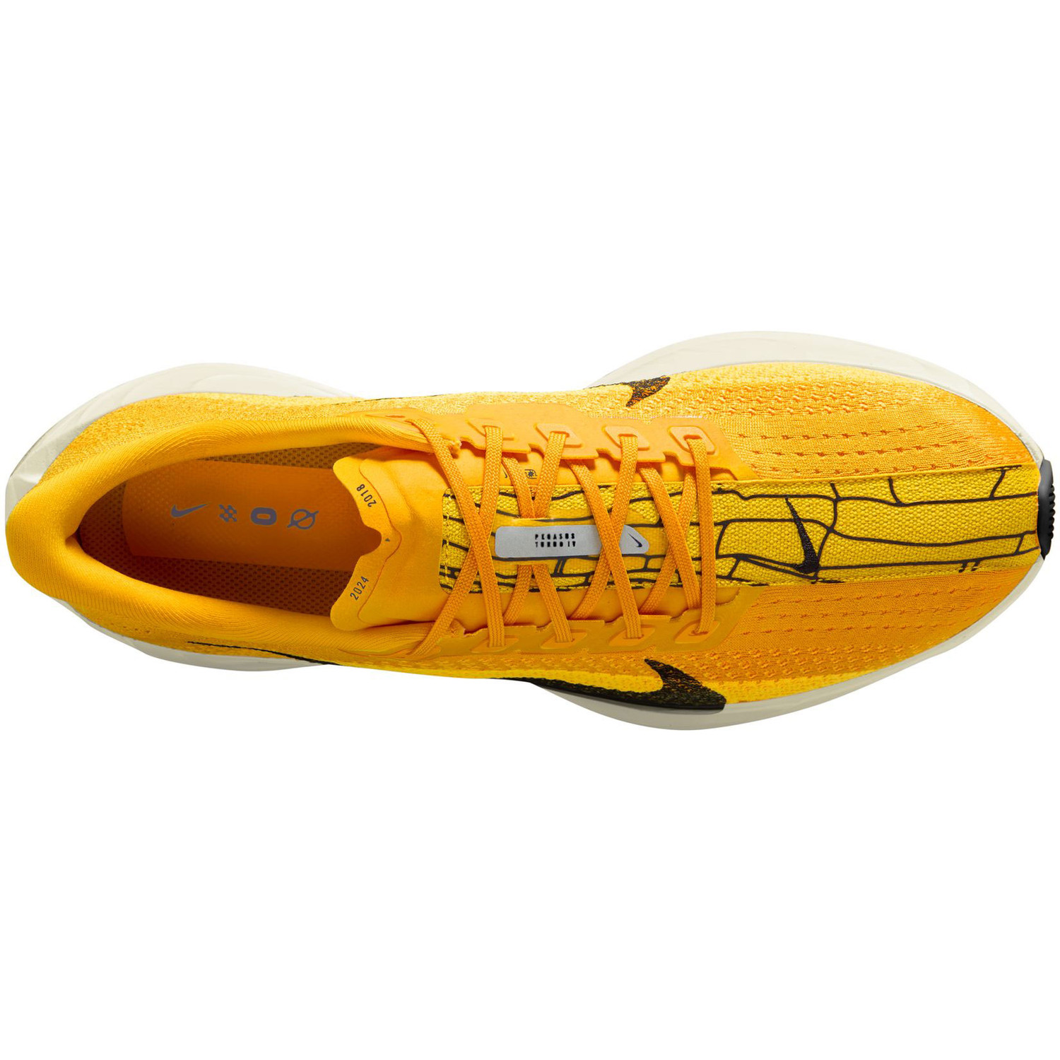 Nike Pegasus Plus Heren