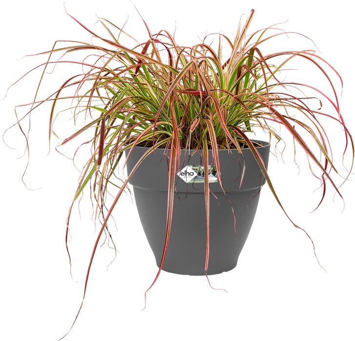Elho bloempot Vibia Campana antraciet D 34,5 H 29,7 cm