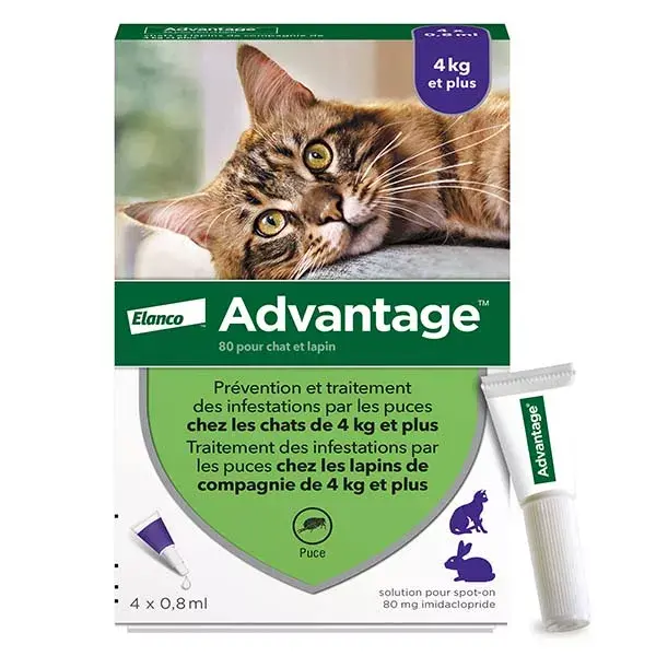 Advantage Solução Antipulgas para Gatos e Coelhos +4kg 4 pipetas