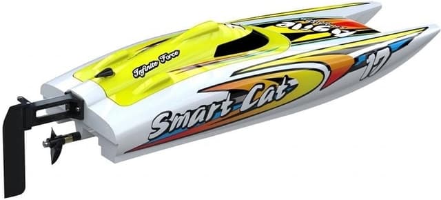 Joysway Smart Cat