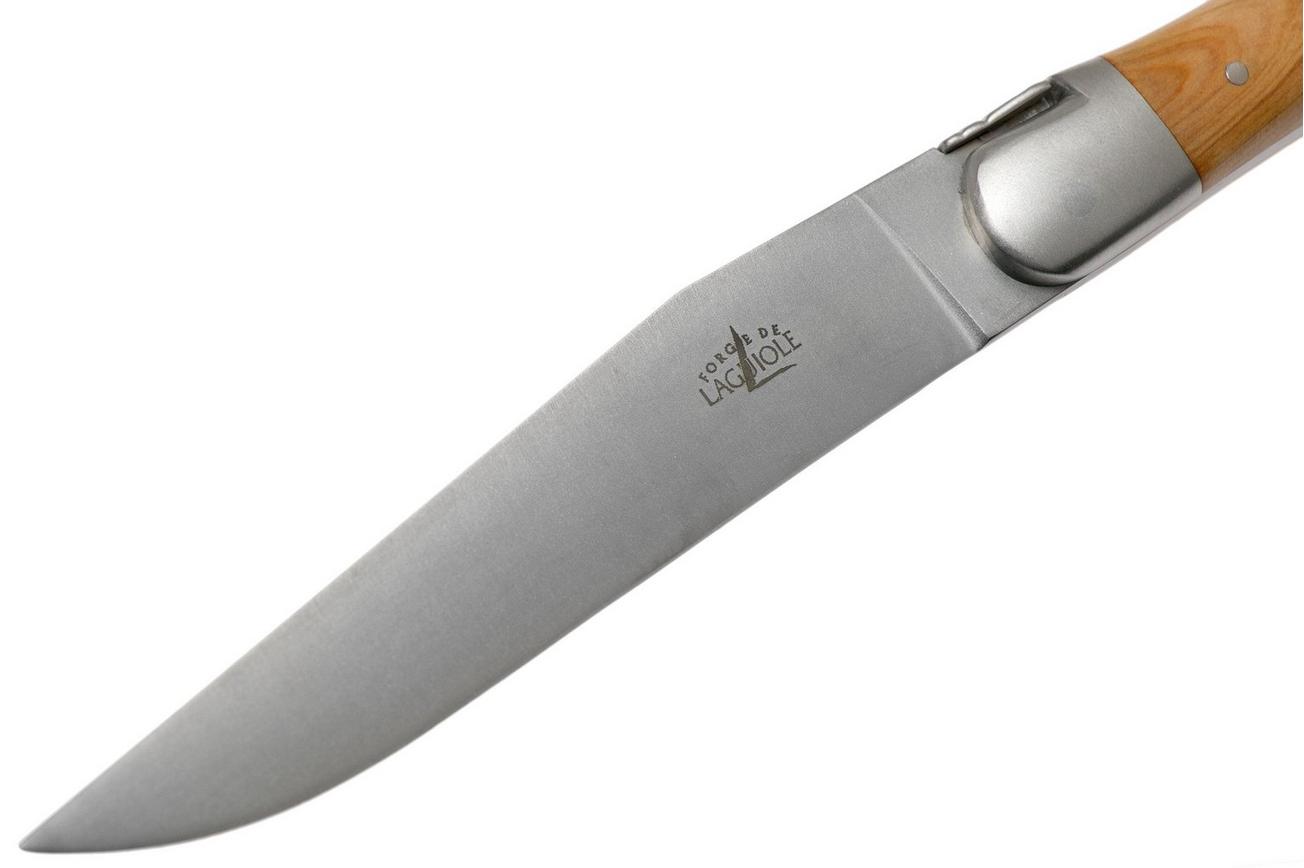Forge de Laguiole, T22MMINGE, 2-delige steakmessenset gematteerd, Jeneverbes